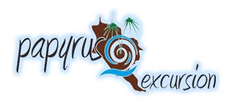 Logo_Papyrus